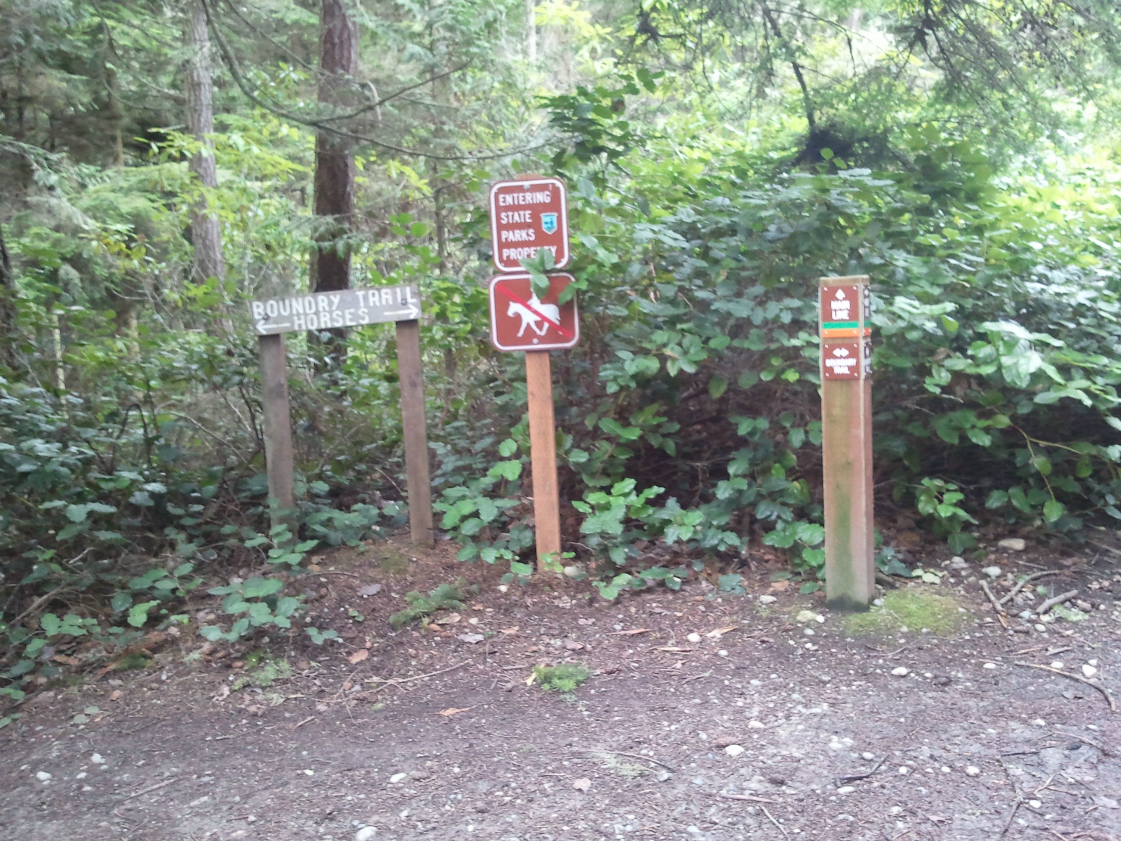 The Kettles Trail System of Whidbey Island — Washington Trails Association